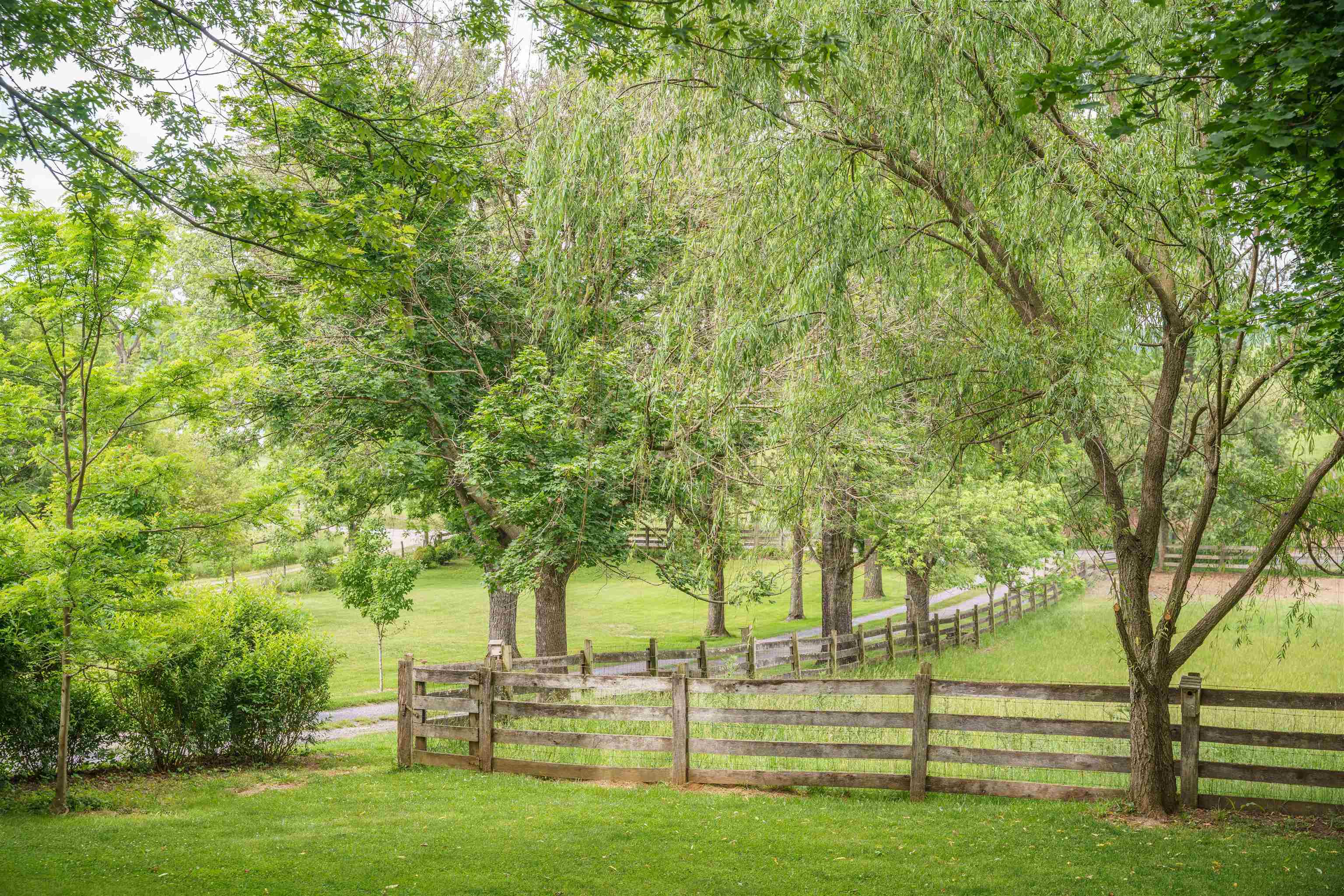1055 Hundley Distillery Road Churchville, VA 24421 - Photo 8 of 10