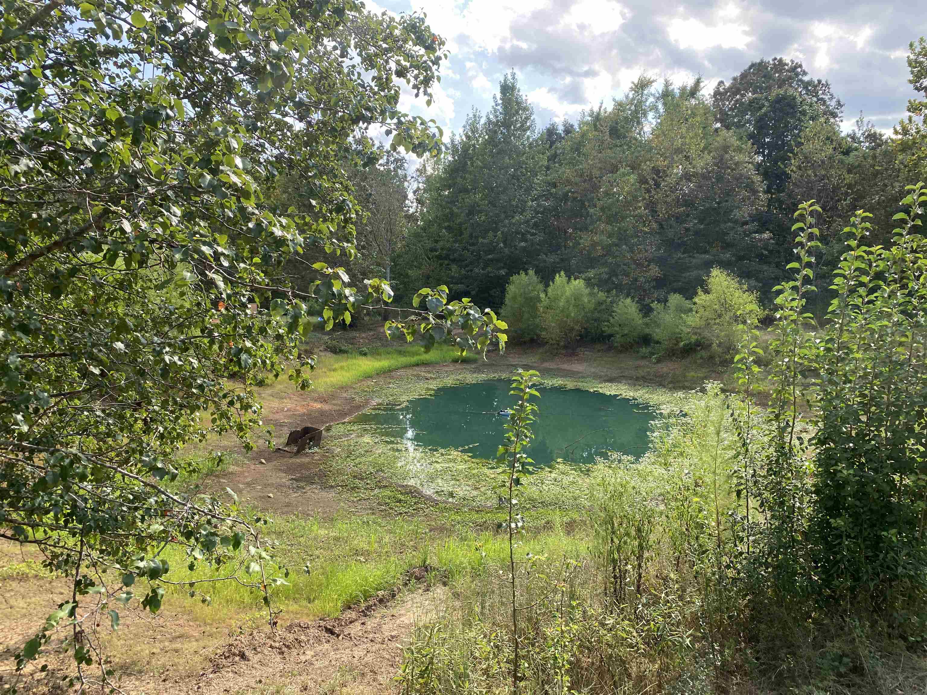 525 Sewell Bottom Road Adamsville, TN 38310 - Photo 36 of 37 a view of a lake with a yard