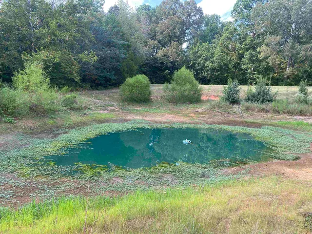 a view of a garden area