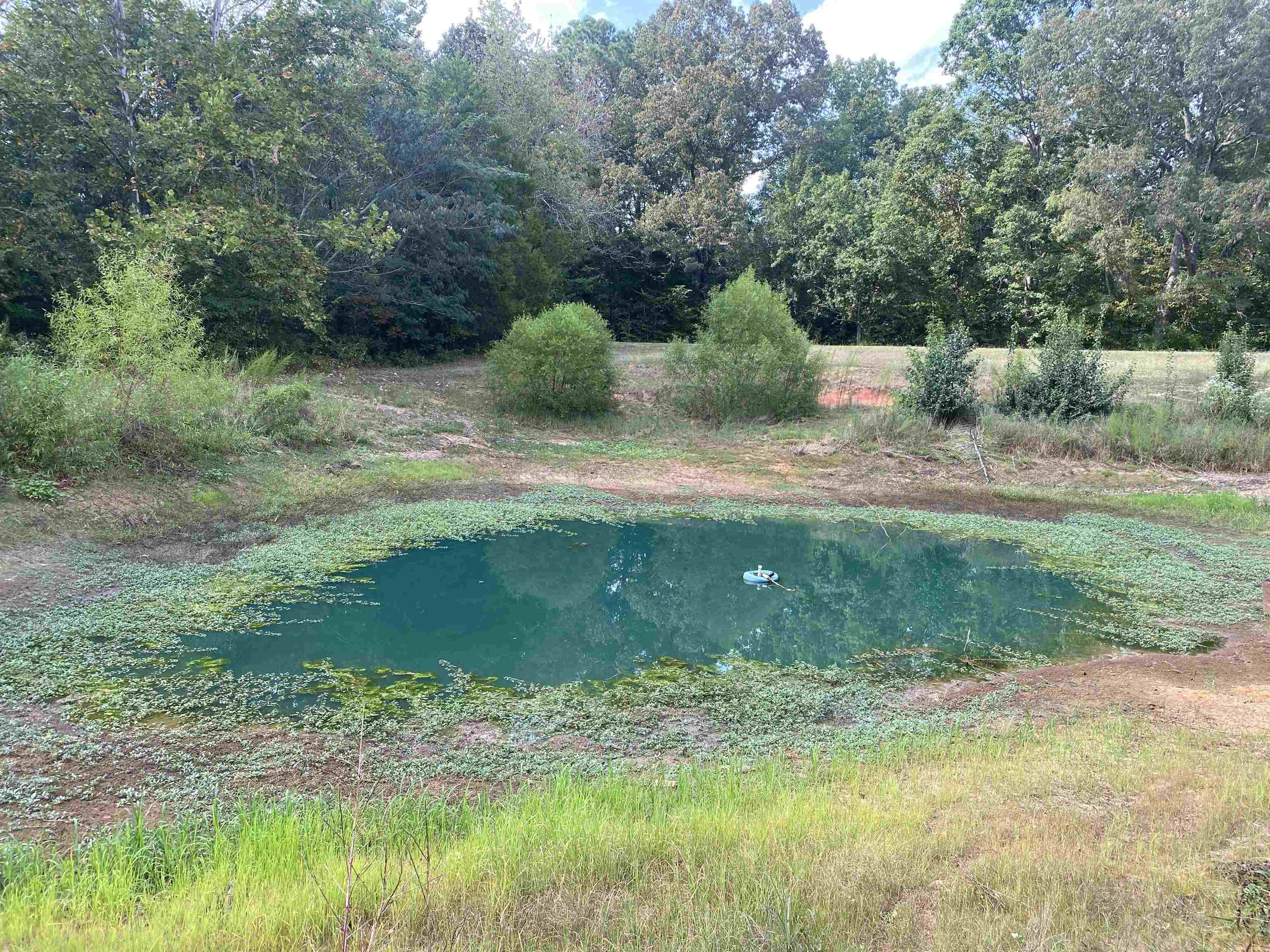 525 Sewell Bottom Road Adamsville, TN 38310 - Photo 4 of 37 a view of a garden area