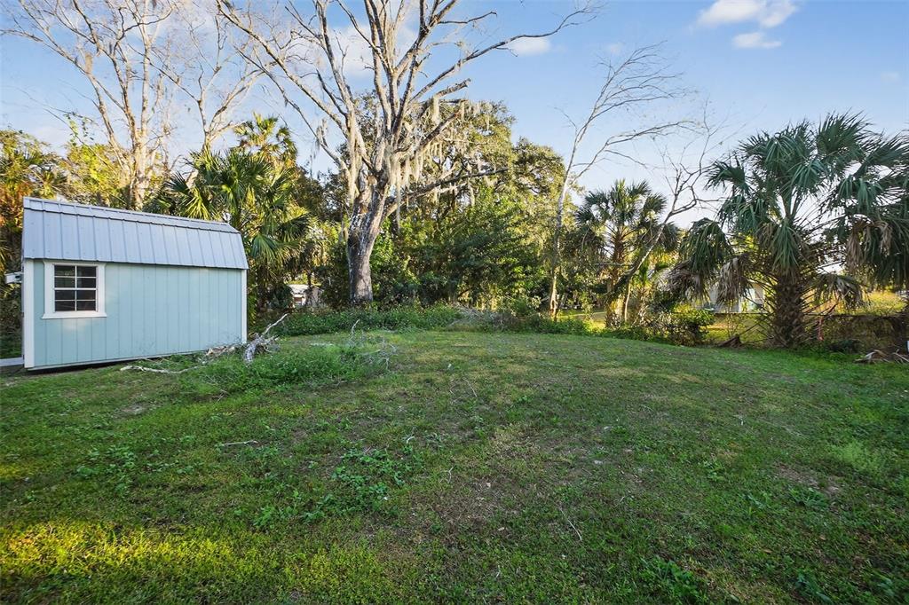 3633 Main Street Sanford, FL 32771 - Photo 27 of 31 a view of a backyard with large trees
