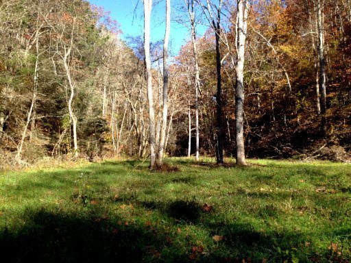 0 Housewright Hollow Road Eidson, TN 37731 - Photo 8 of 13 Additional Photo