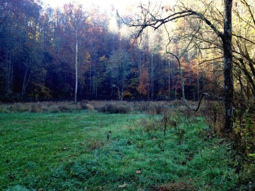 0 Housewright Hollow Road Eidson, TN 37731 - Photo 10 of 13 Additional Photo
