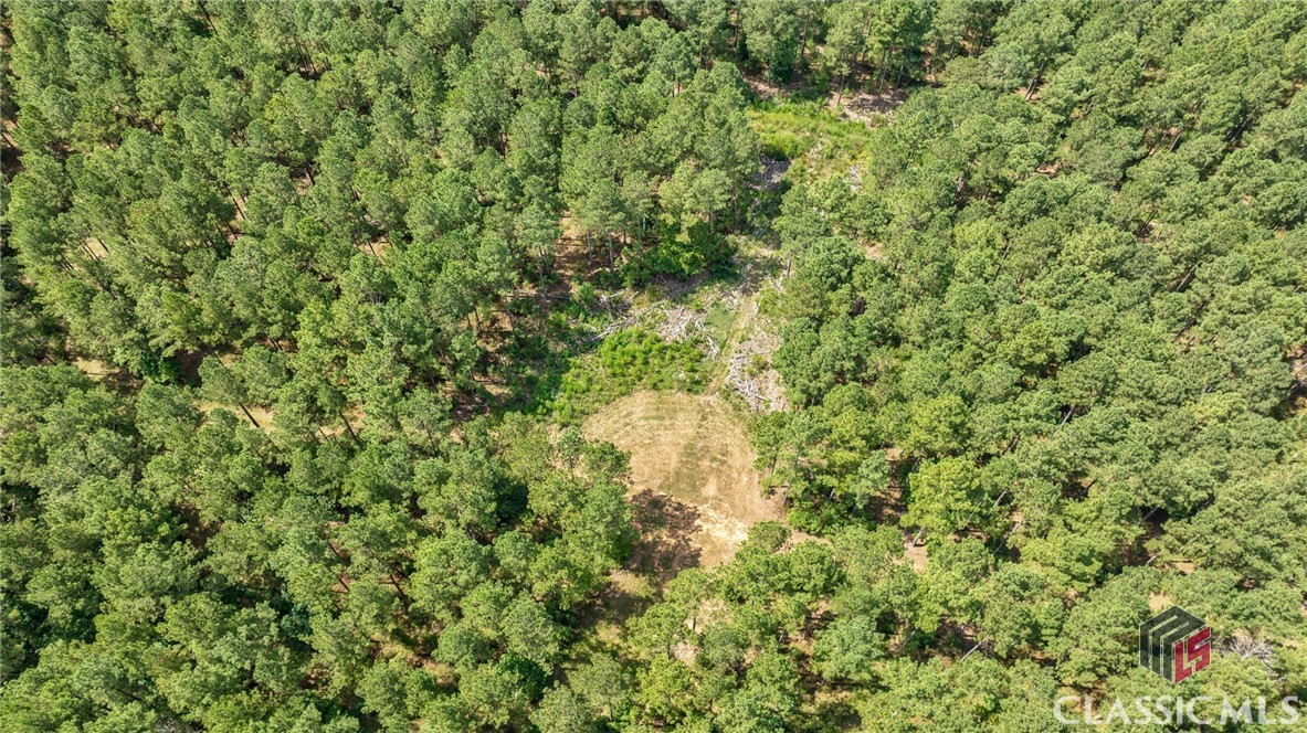 0 Paradise Hogan Road Lexington, GA 30648 - Photo 32 of 38