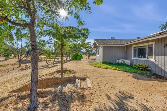 a view of a yard in front of a house with large tree