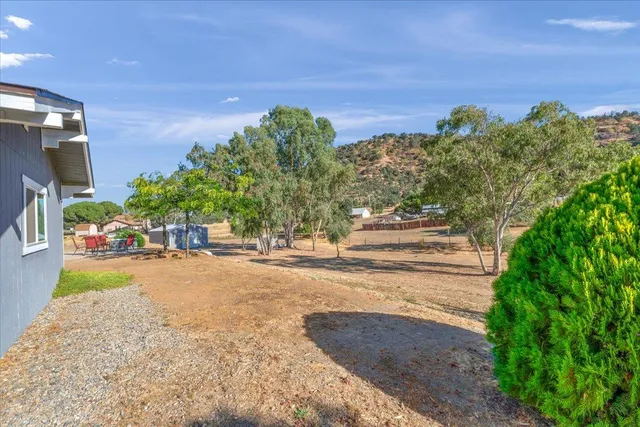 a view of a yard with a tree
