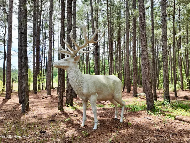 $2,100,000 | 768 Bethesda Church Road, Orrum, NC 28369