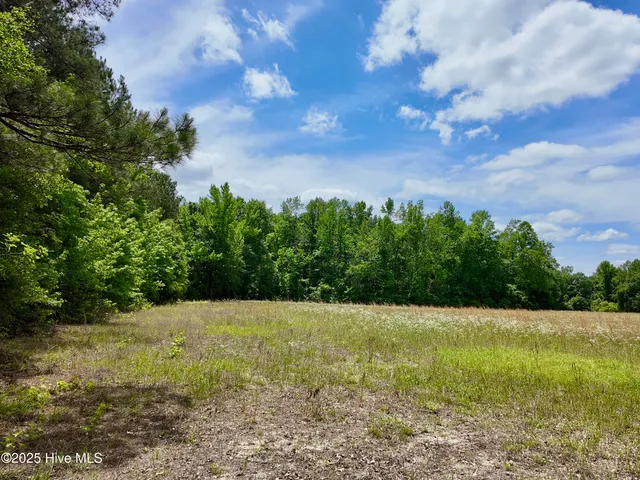 $2,100,000 | 768 Bethesda Church Road, Orrum, NC 28369