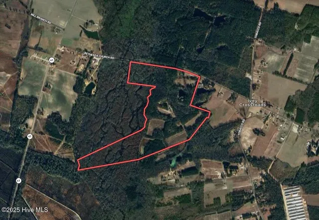 $2,100,000 | 768 Bethesda Church Road, Orrum, NC 28369