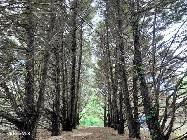 $2,100,000 | 768 Bethesda Church Road, Orrum, NC 28369