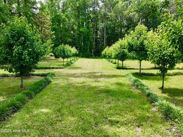 $2,100,000 | 768 Bethesda Church Road, Orrum, NC 28369