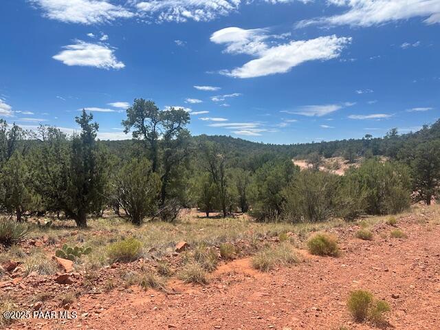 1020 Duffis Bluff Road Seligman, AZ 86337 - Photo 10 of 18 IMG_9661