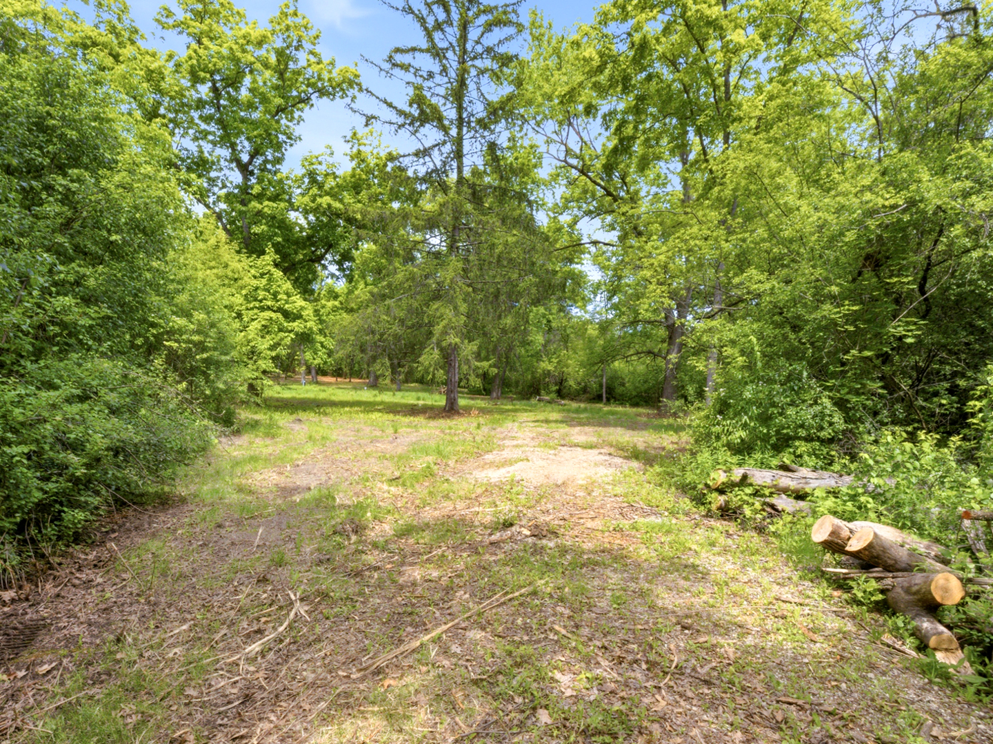 7N650 Sayer Road Bartlett, IL 60103 - Photo 10 of 13 a view of outdoor space and yard