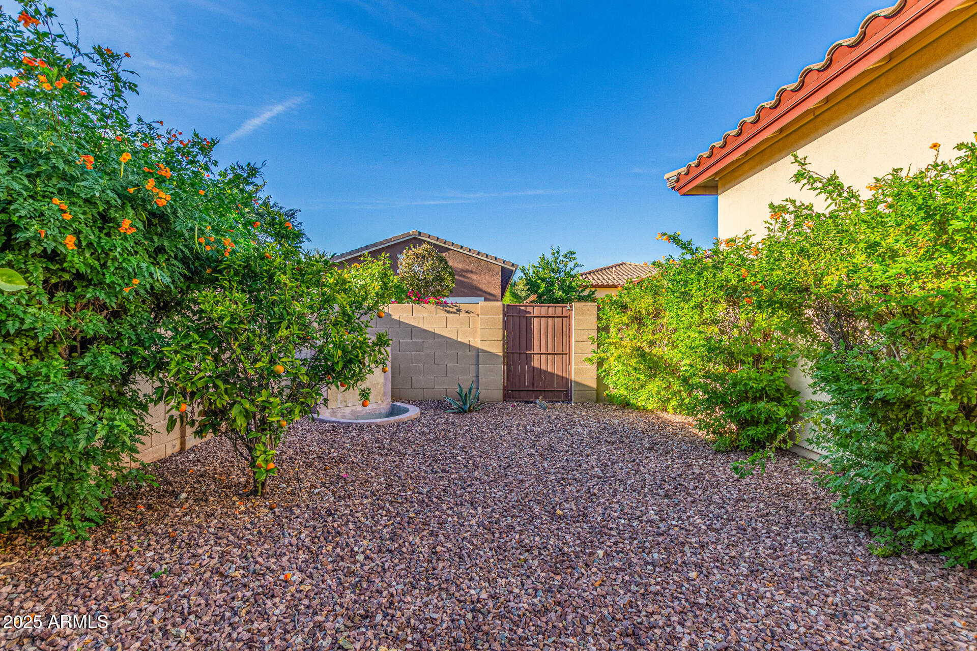 20692 West Hamilton Street Buckeye, AZ 85396 - Photo 47 of 68 47-Hamilton
