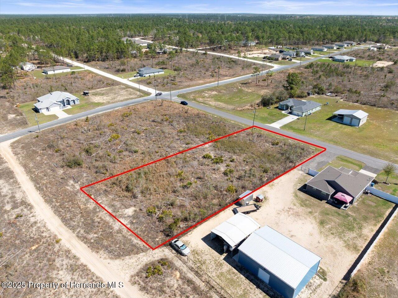 16203 Penn State Road Brooksville, FL 34614 - Photo 8 of 11