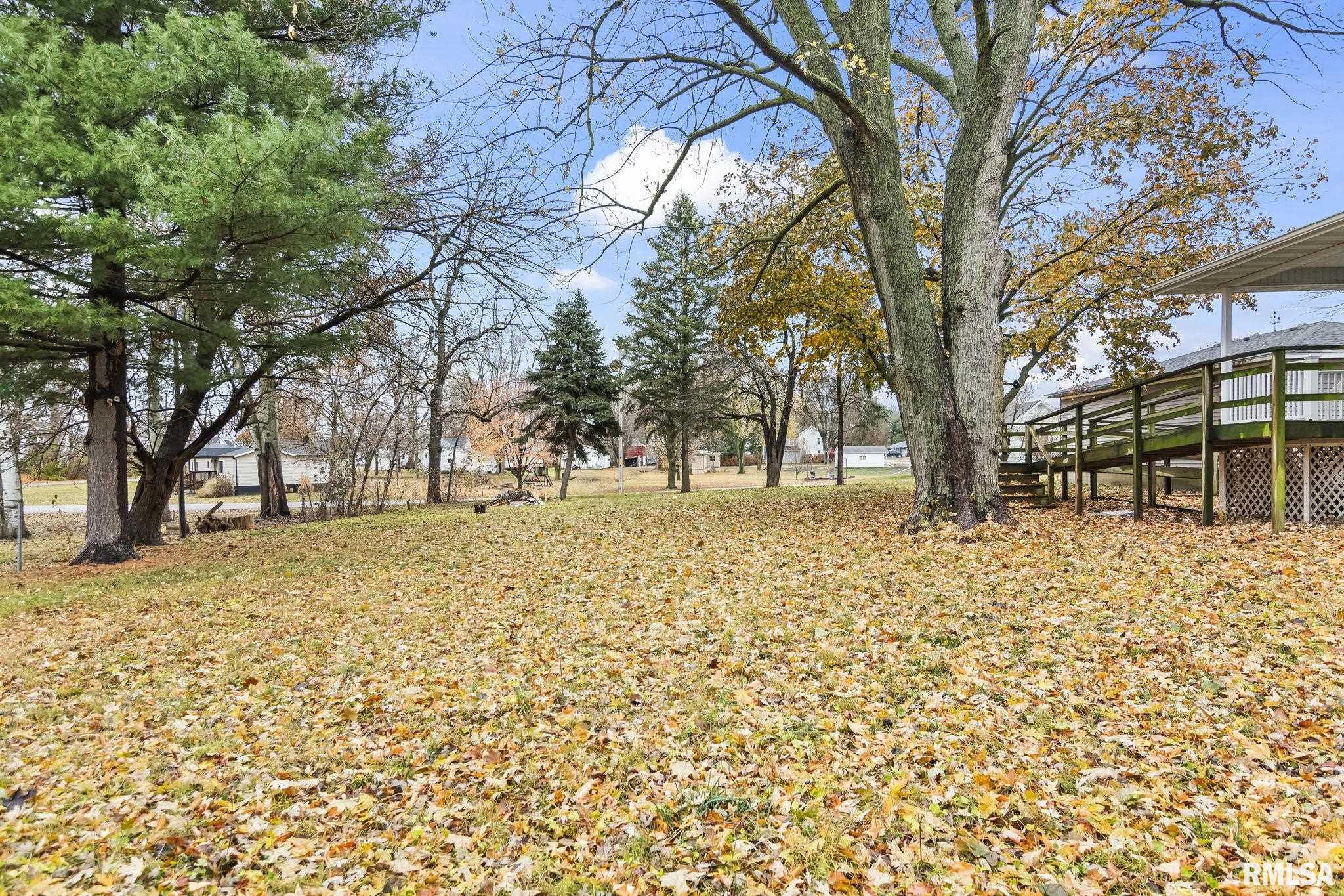 207 East Cherokee Street Morrisonville, IL 62546 - Photo 56 of 65