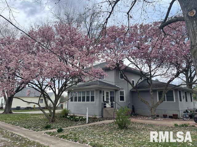 207 East Cherokee Street Morrisonville, IL 62546 - Photo 7 of 65