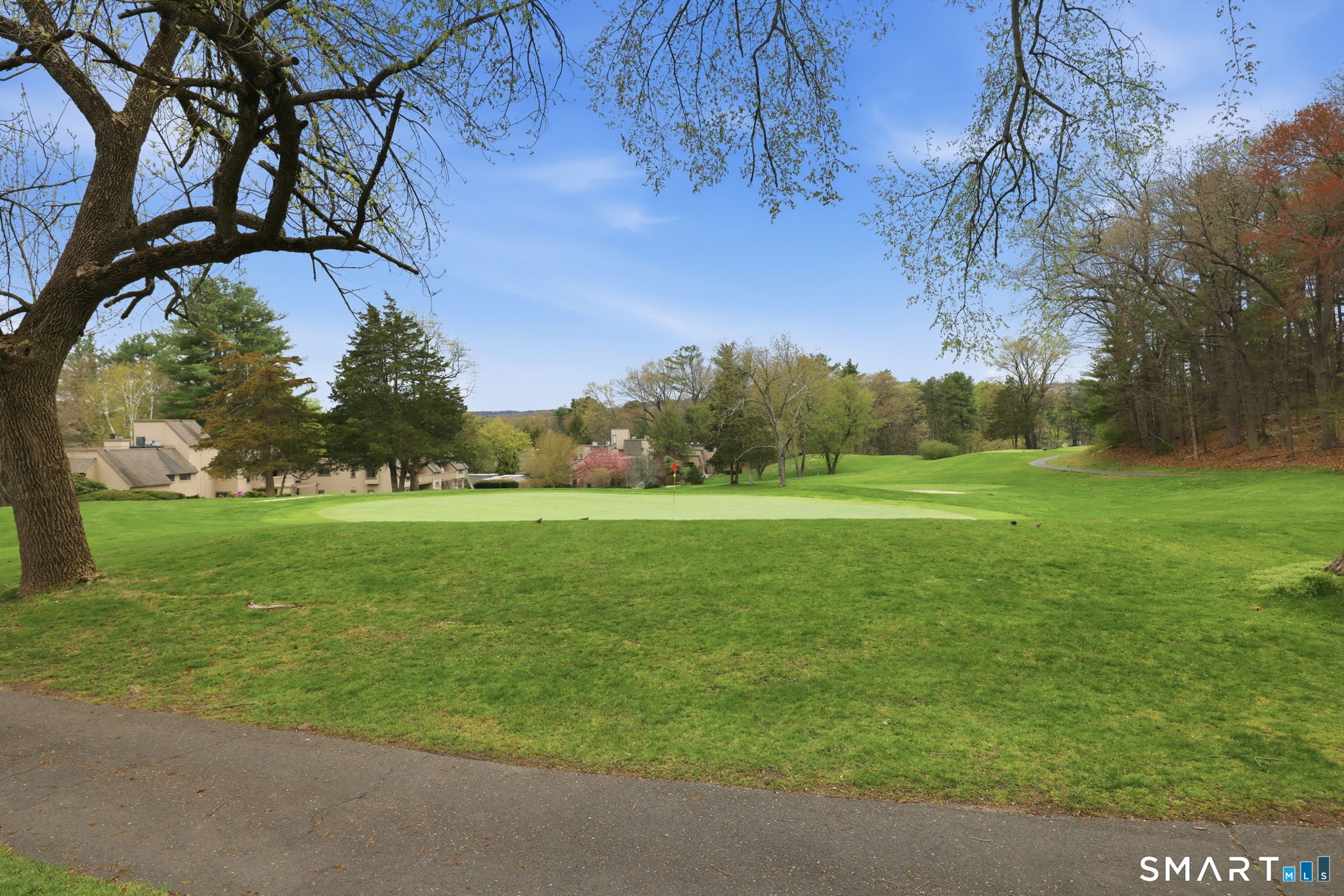 23 Maple Lane, Unit 23 Avon, CT 06001 - Photo 23 of 33 a view of field with tall trees