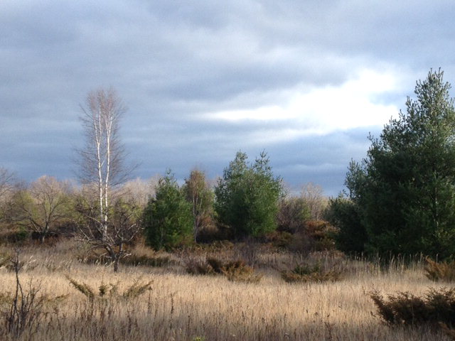E 5-acres East 5-acres Flint Ridge Road Sister Bay, WI 54234 - Photo 1 of 1
