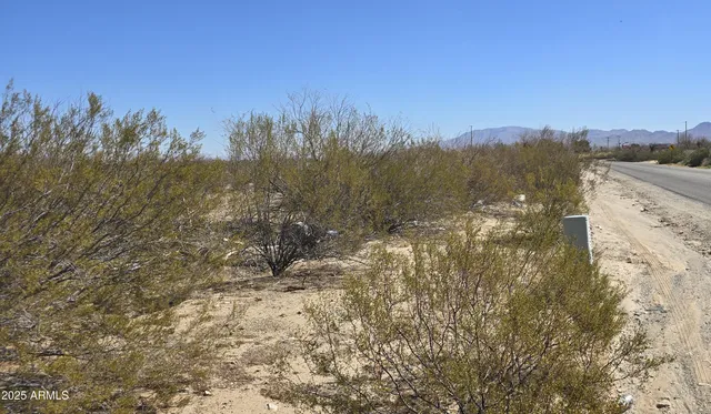 a view of a yard with a mountain in the background