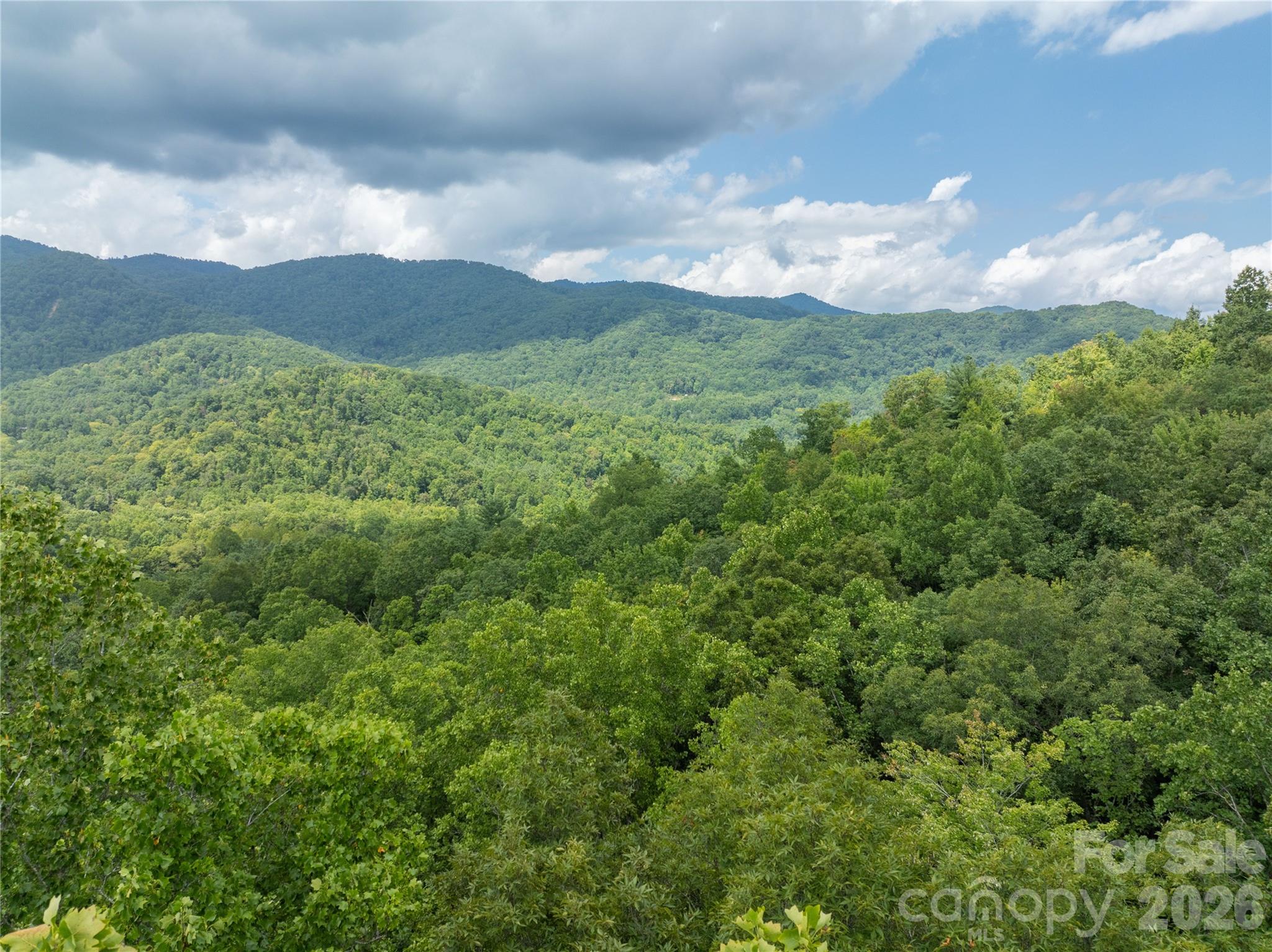 7777 Saw Branch Road Candler, NC 28715 - Photo 3 of 19 Gallery Image 3