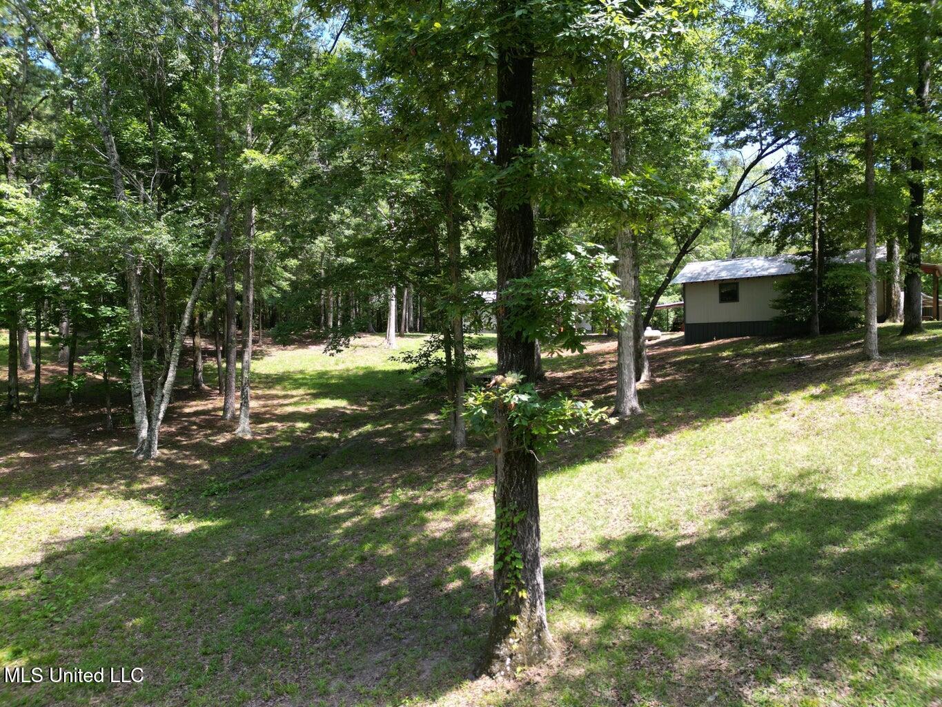 18159 Highway 15 Decatur, MS 39327 - Photo 13 of 40 20240612132926357398000000-o