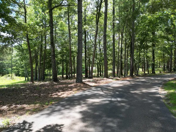 $550,000 | 18159 Highway 15, Decatur, MS 39327