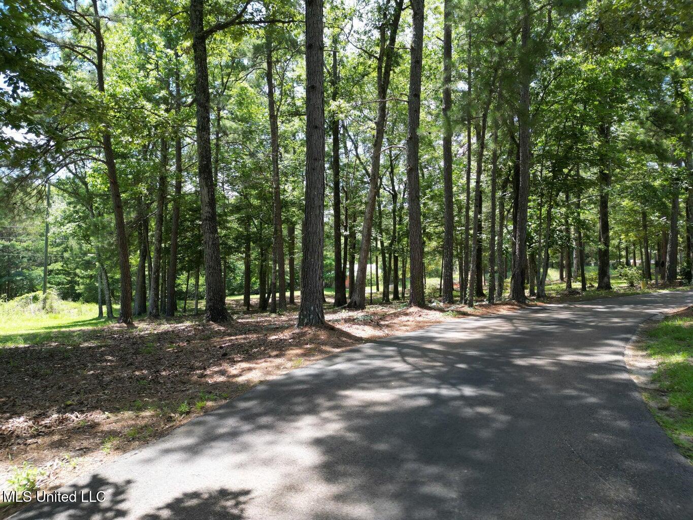 18159 Highway 15 Decatur, MS 39327 - Photo 18 of 40 20240612133004031548000000-o