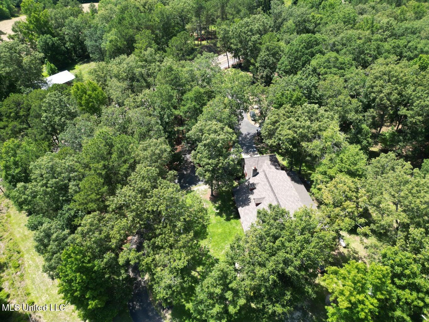 18159 Highway 15 Decatur, MS 39327 - Photo 39 of 40 20240612133058632398000000-o