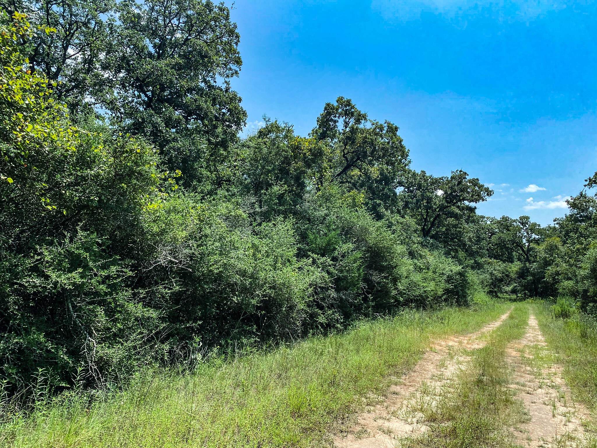 Lot 10 Ranch Road Normangee, TX 77871 - Photo 1 of 10 a view of a lush green space
