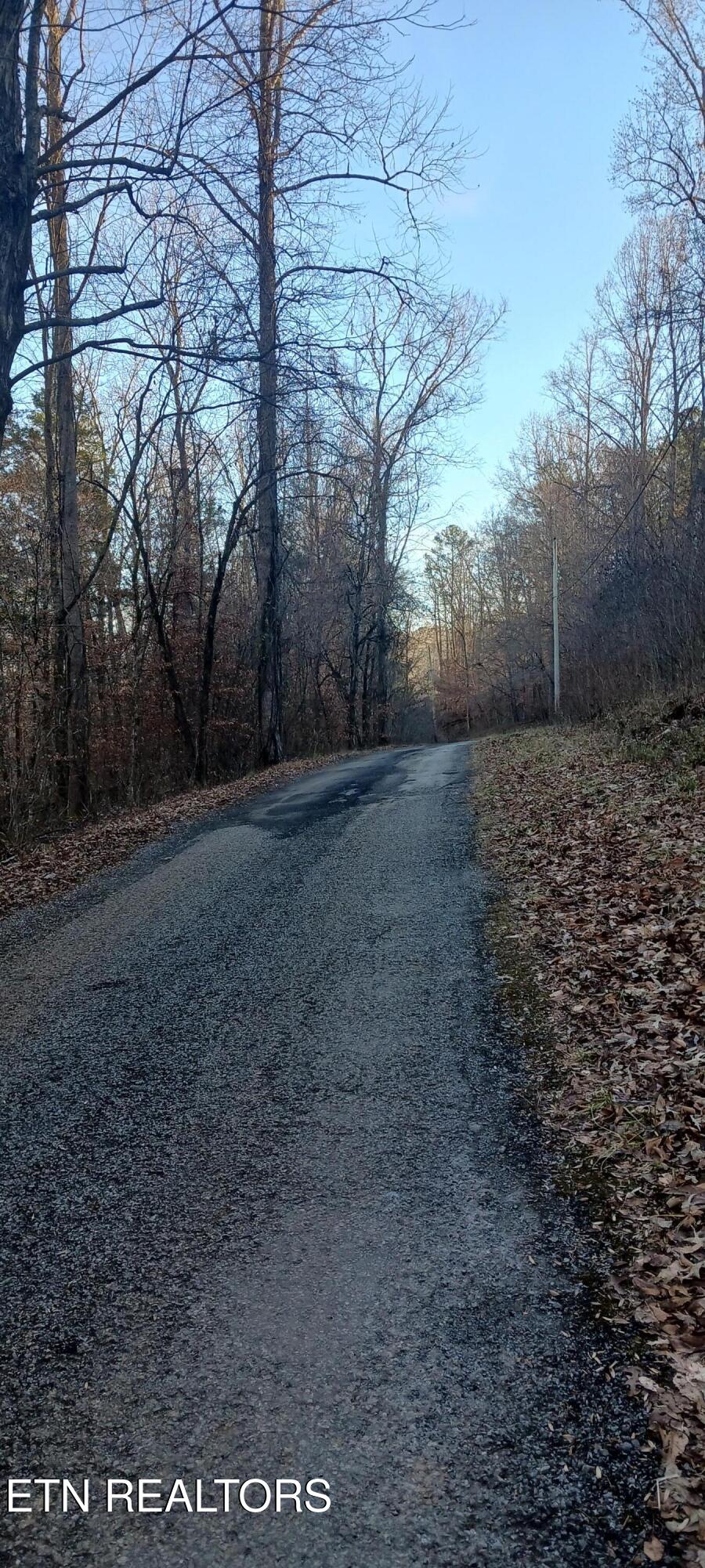 Braden Chapel Road Speedwell, TN 37870 - Photo 4 of 6 20251213_154257