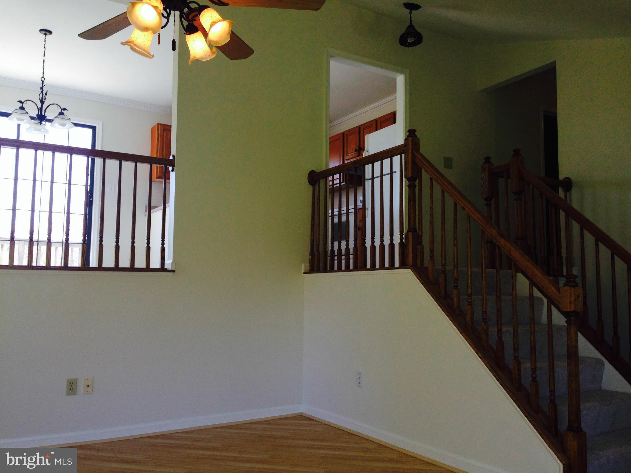Interior (General)