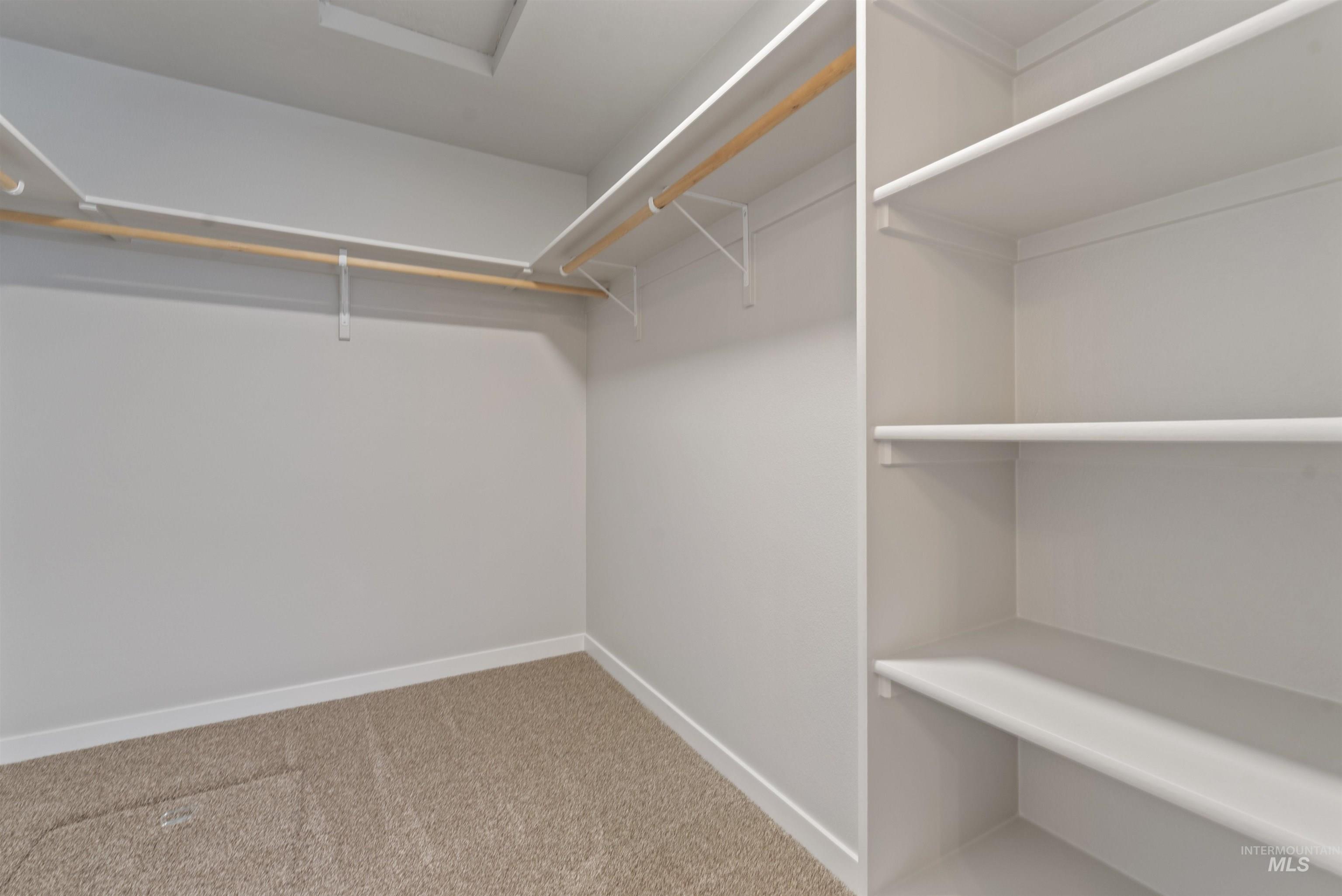 12703 West Fig Street Boise, ID 83713 - Photo 18 of 26 Walk in closet featuring light carpet