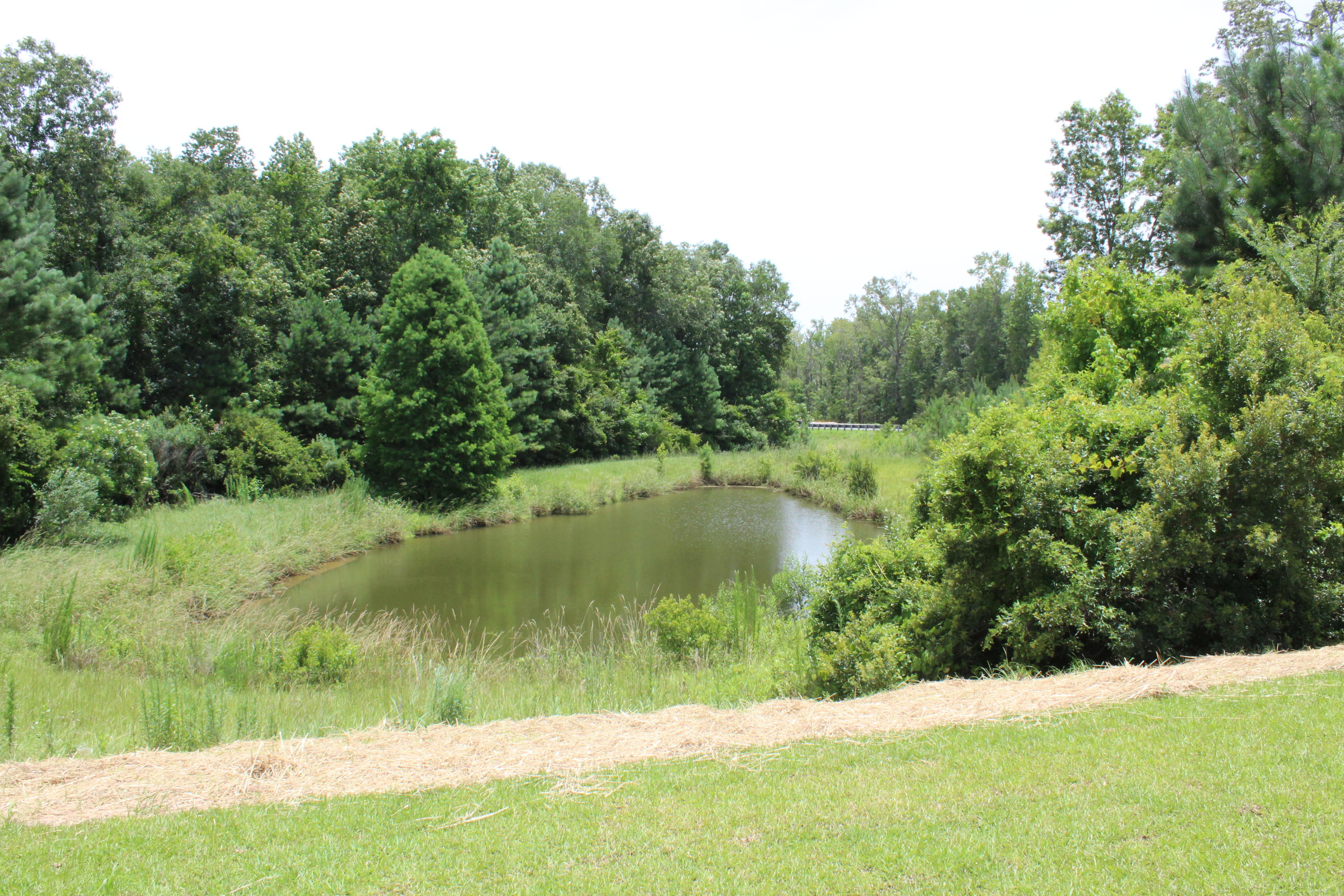 205 Woodward Road, Unit 114 Goose Creek, SC 29445 - Photo 3 of 26 IMG_3996