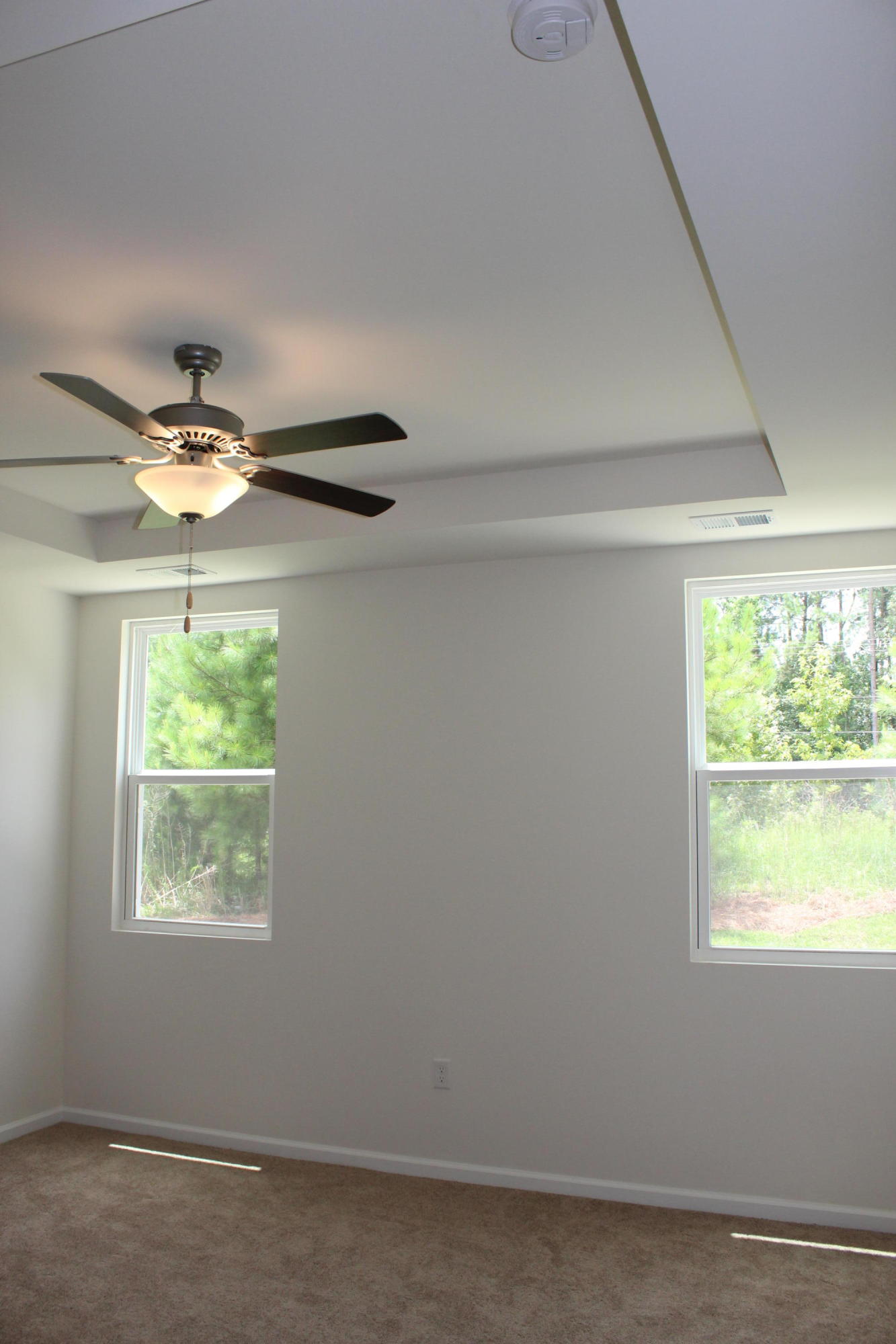 205 Woodward Road, Unit 114 Goose Creek, SC 29445 - Photo 7 of 26 Downstairs Master w/tray ceiling
