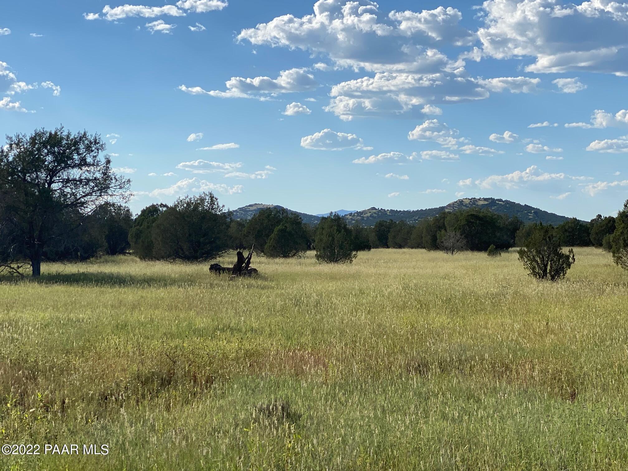 land and view