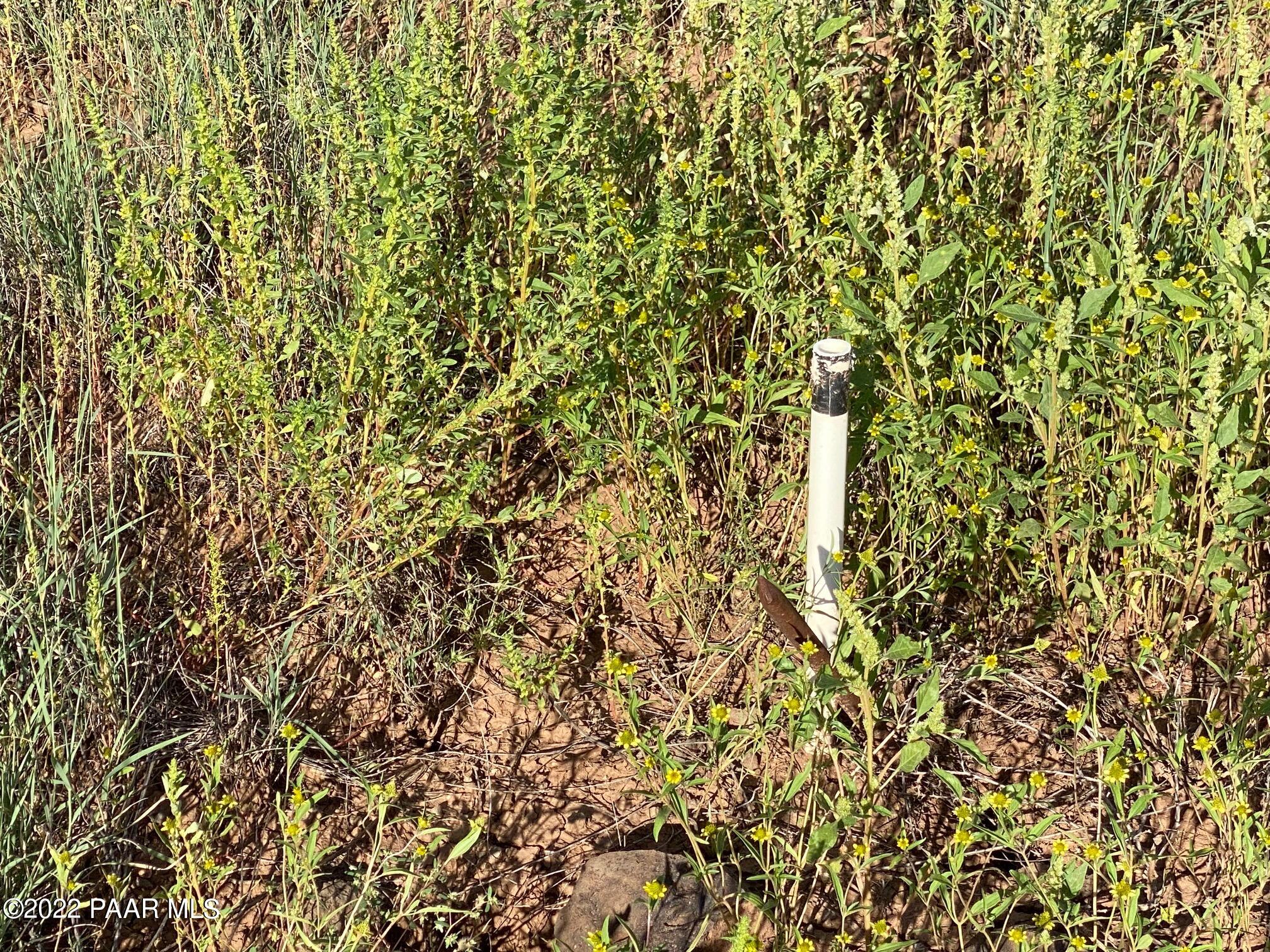 Plate land marker