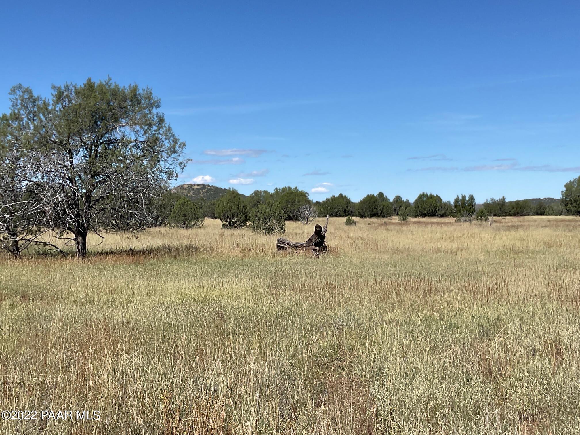 2777 West Plate Road Williams, AZ 86046 - Photo 9 of 9 Plate land 1
