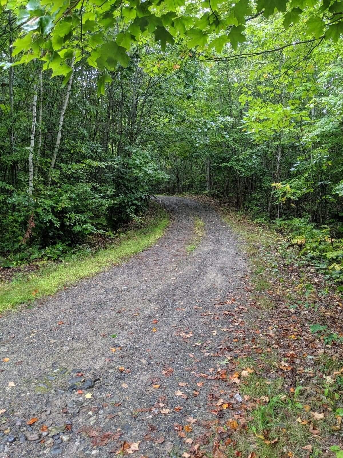 1240 Weeks Mills Road Augusta, ME 04330 - Photo 12 of 23 26D2AAA3-88CA-4FA1-8A7A-174E2F39D2F2