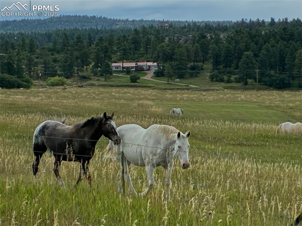 8201 Old San Isabel Road Rye, CO 81069 - Photo 2 of 30 a view of a lake with a yard