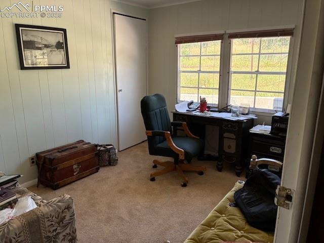 8201 Old San Isabel Road Rye, CO 81069 - Photo 6 of 30 a view of workspace with a window