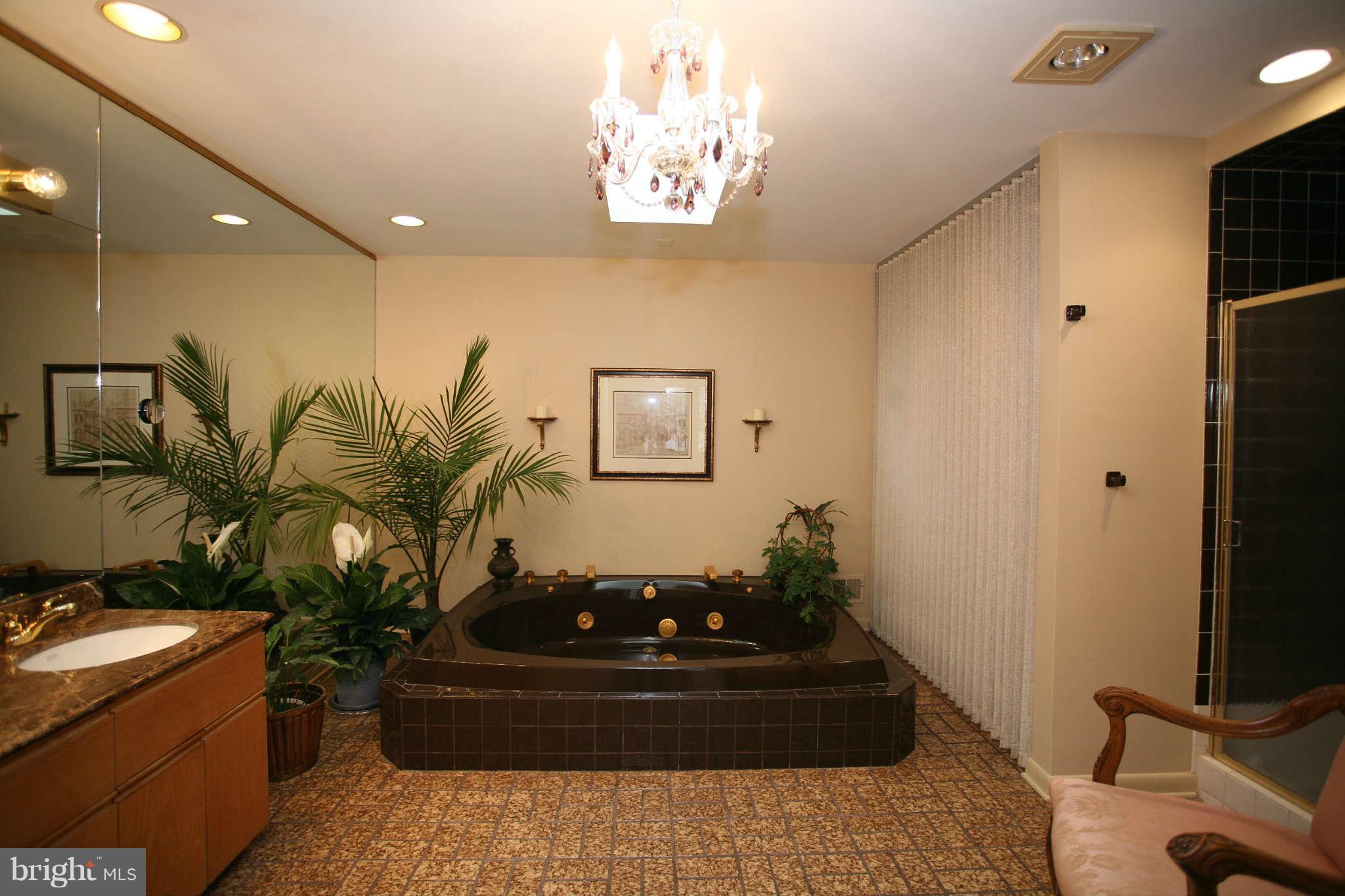 11111 Lawyers Road Reston, VA 20191 - Photo 14 of 30 a living room with a couch and a potted plant