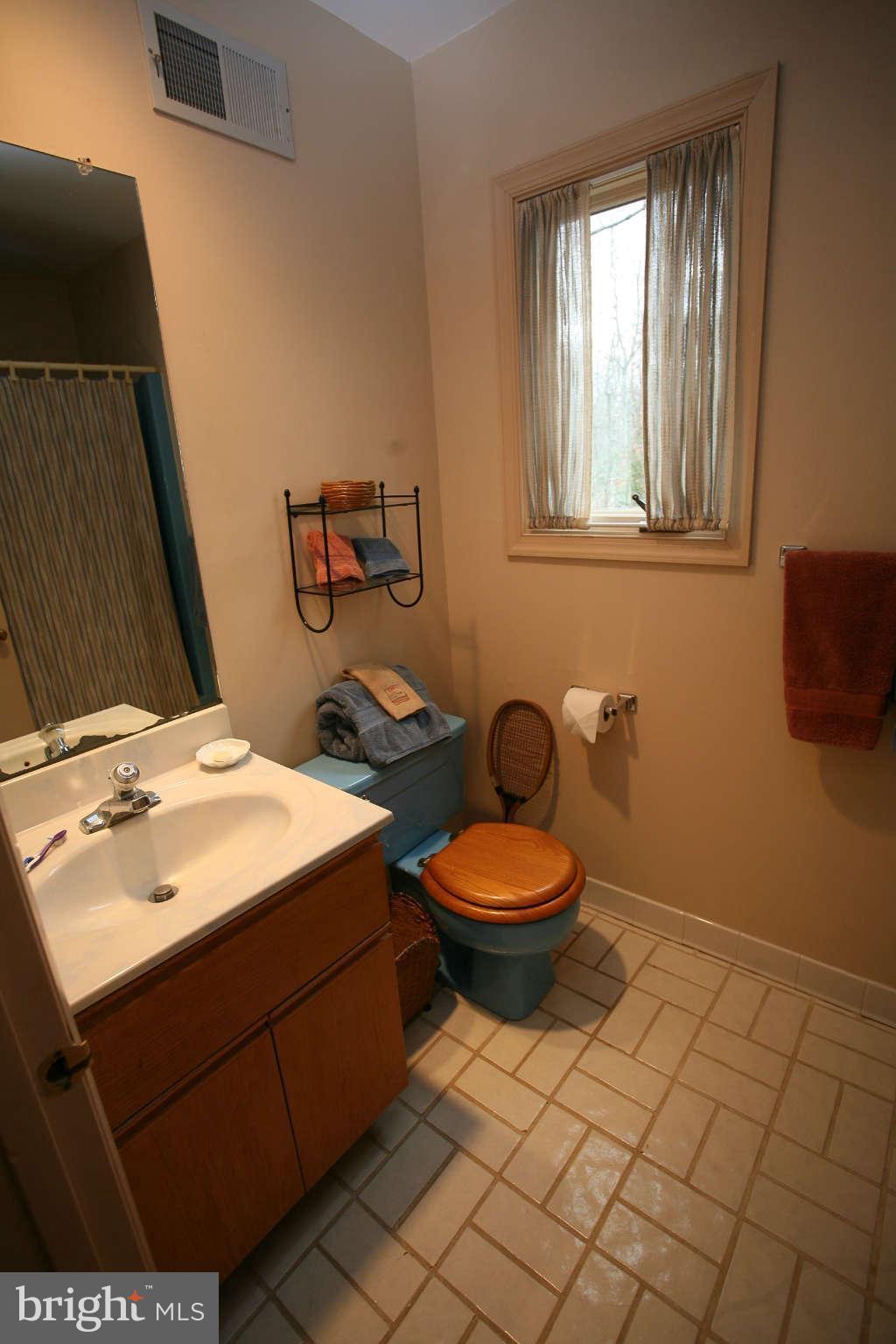 11111 Lawyers Road Reston, VA 20191 - Photo 22 of 30 a bathroom with a toilet a sink and mirror