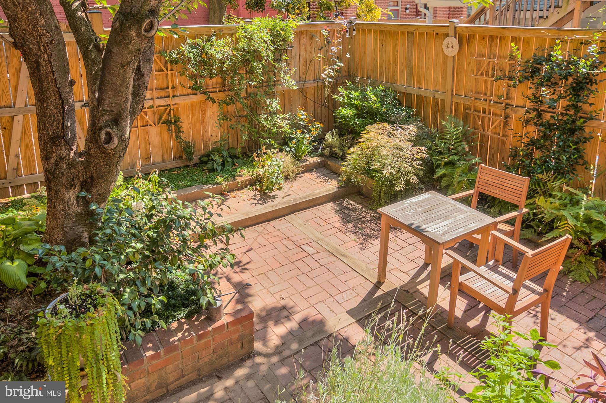 424 7th Street Southeast Washington, DC 20003 - Photo 4 of 24 Exterior (Rear)