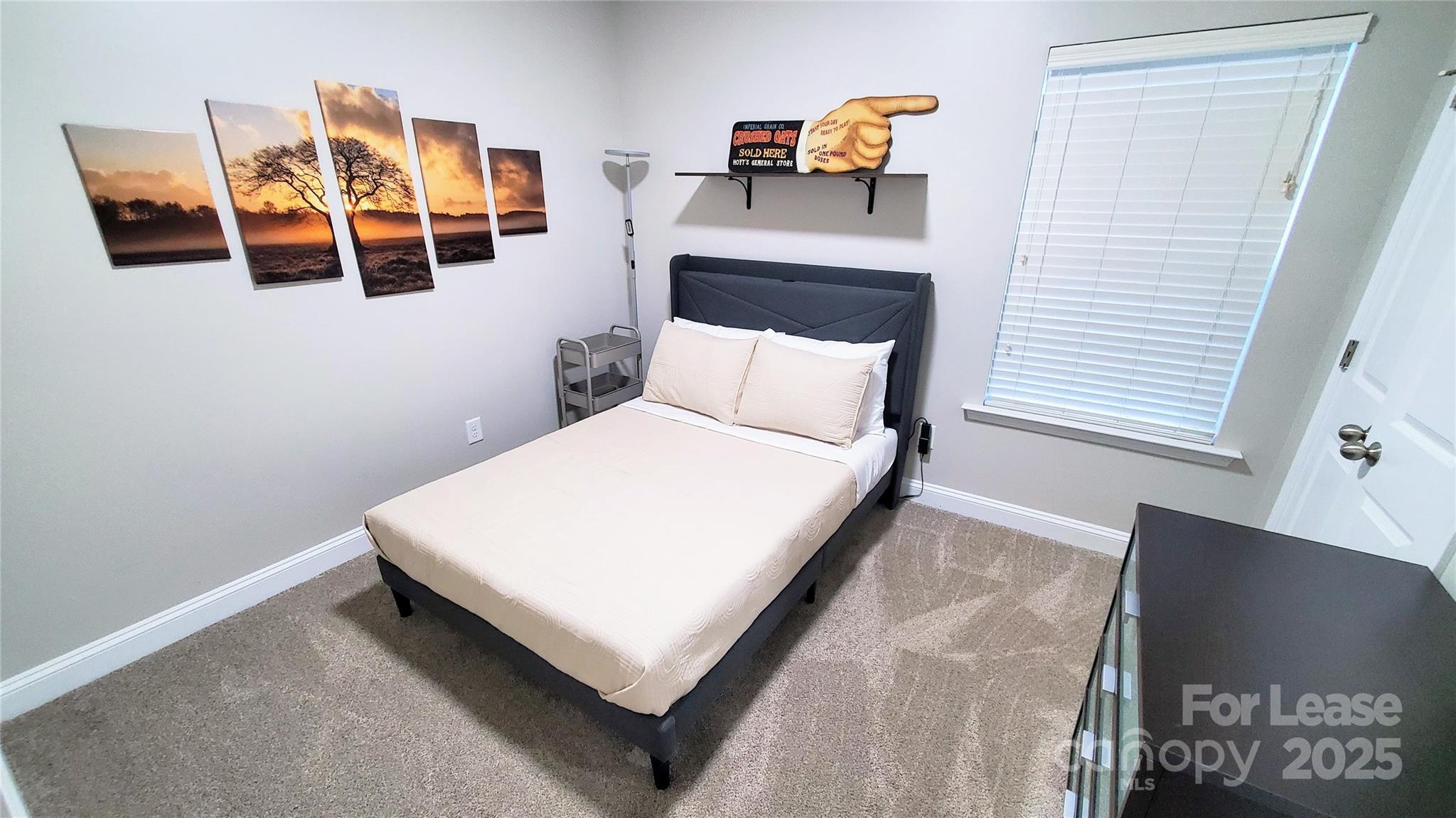 11925 Field Street Cornelius, NC 28031 - Photo 15 of 26