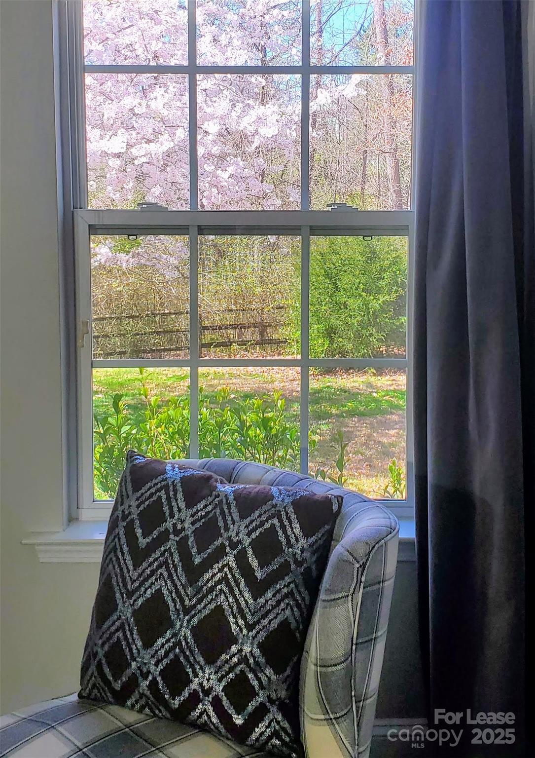 11925 Field Street Cornelius, NC 28031 - Photo 10 of 26