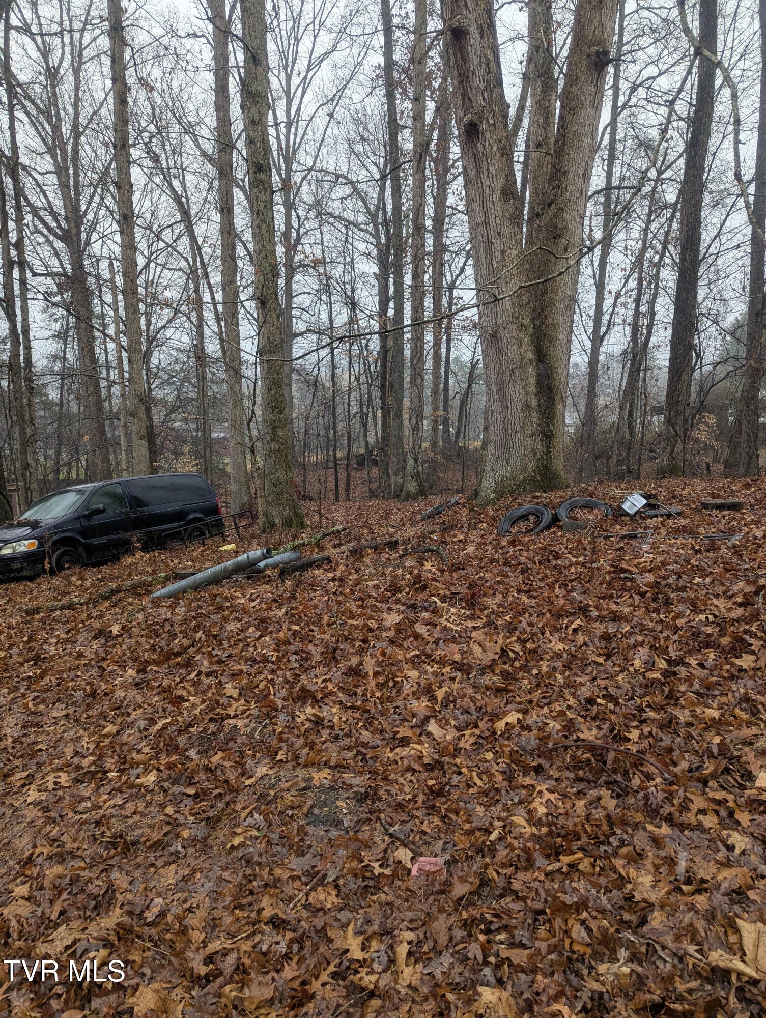 0 Ross Campground Road, Unit 13 Church Hill, TN 37642 - Photo 3 of 3 1000001378