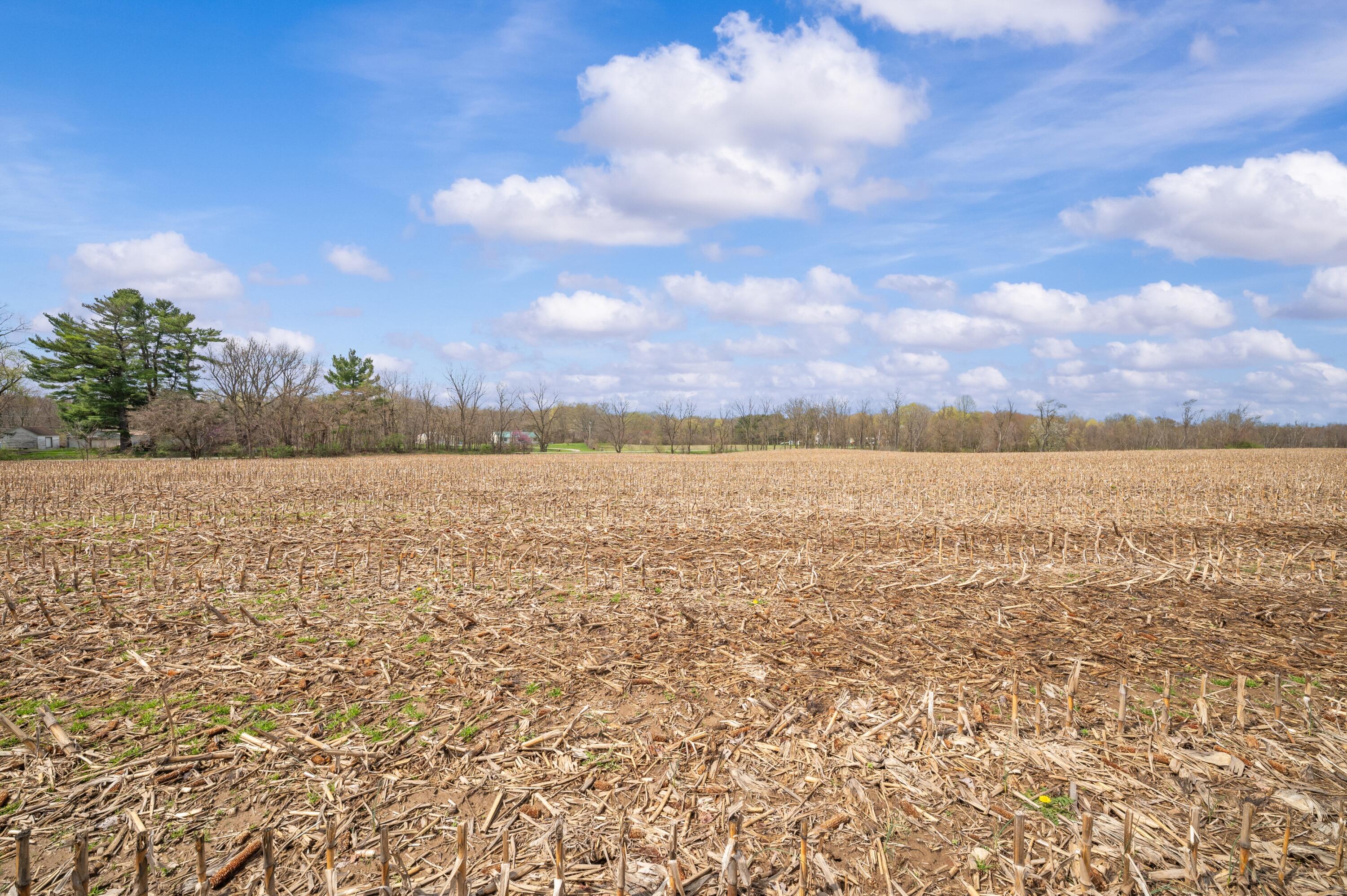 Lot B Broceus School Road Buchanan, MI 49107 - Photo 9 of 23 Ground View