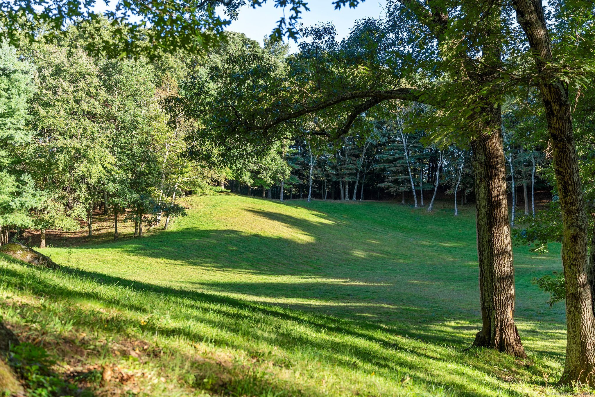 6 Pine Hill Road Burlington, CT 06013 - Photo 4 of 40 a view of a park