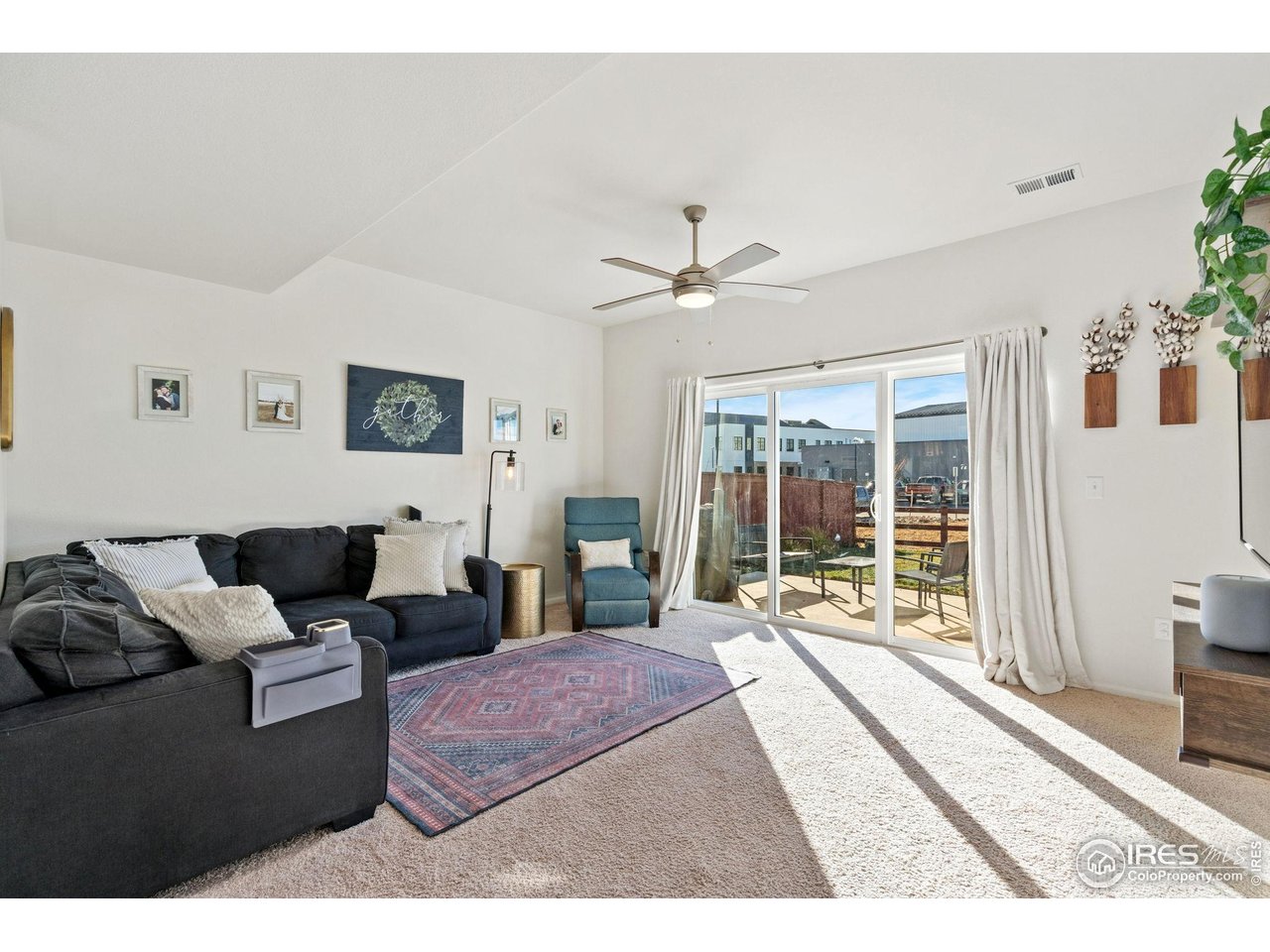 2004 Thundercloud Drive Windsor, CO 80550 - Photo 5 of 24 a living room with furniture and large windows